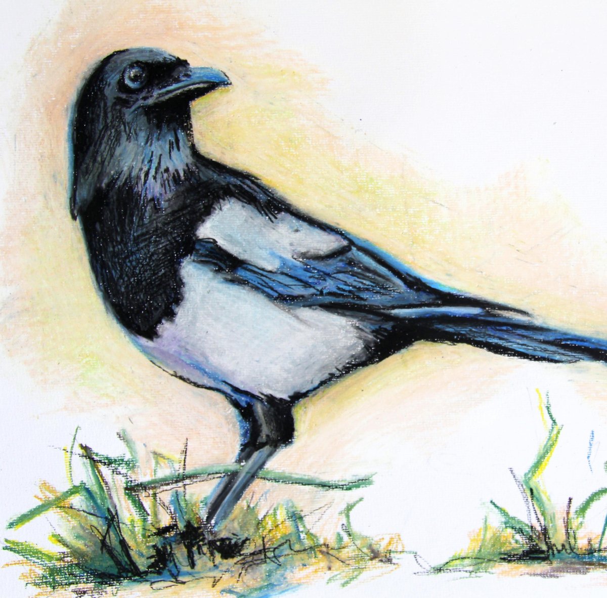 Сорока для детей