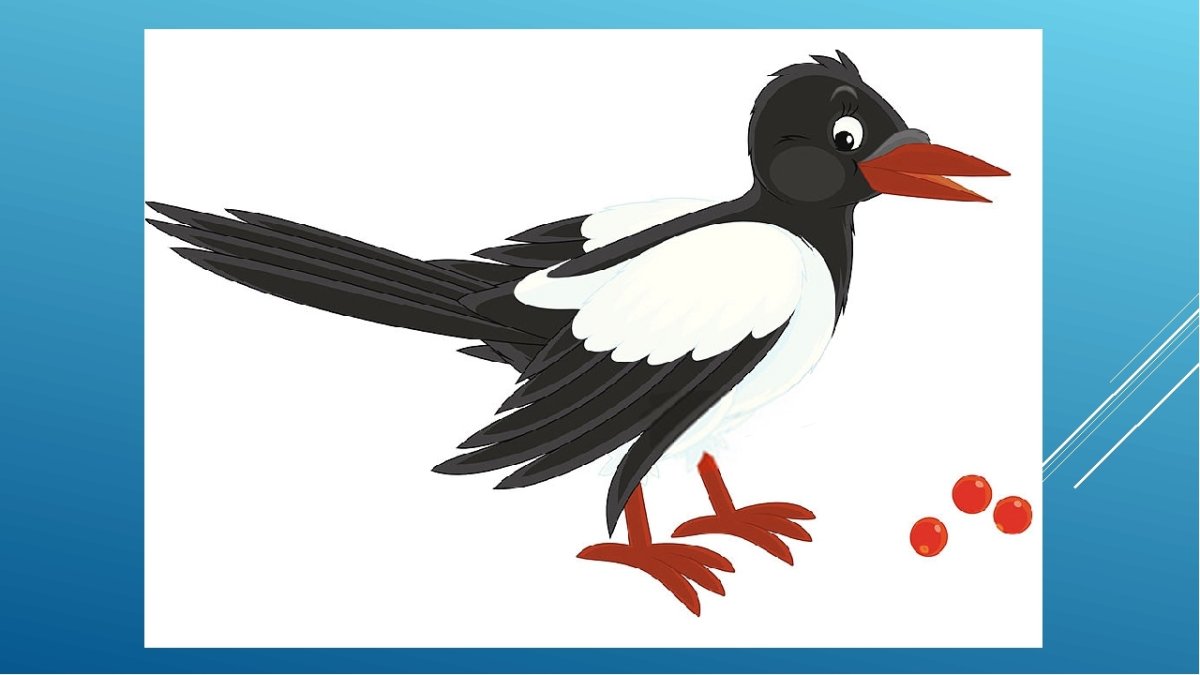 Сорока мультяшный