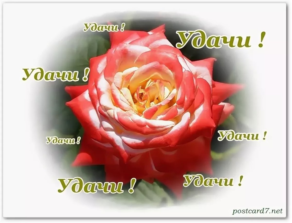 Открытки с пожеланием удачи и успеха