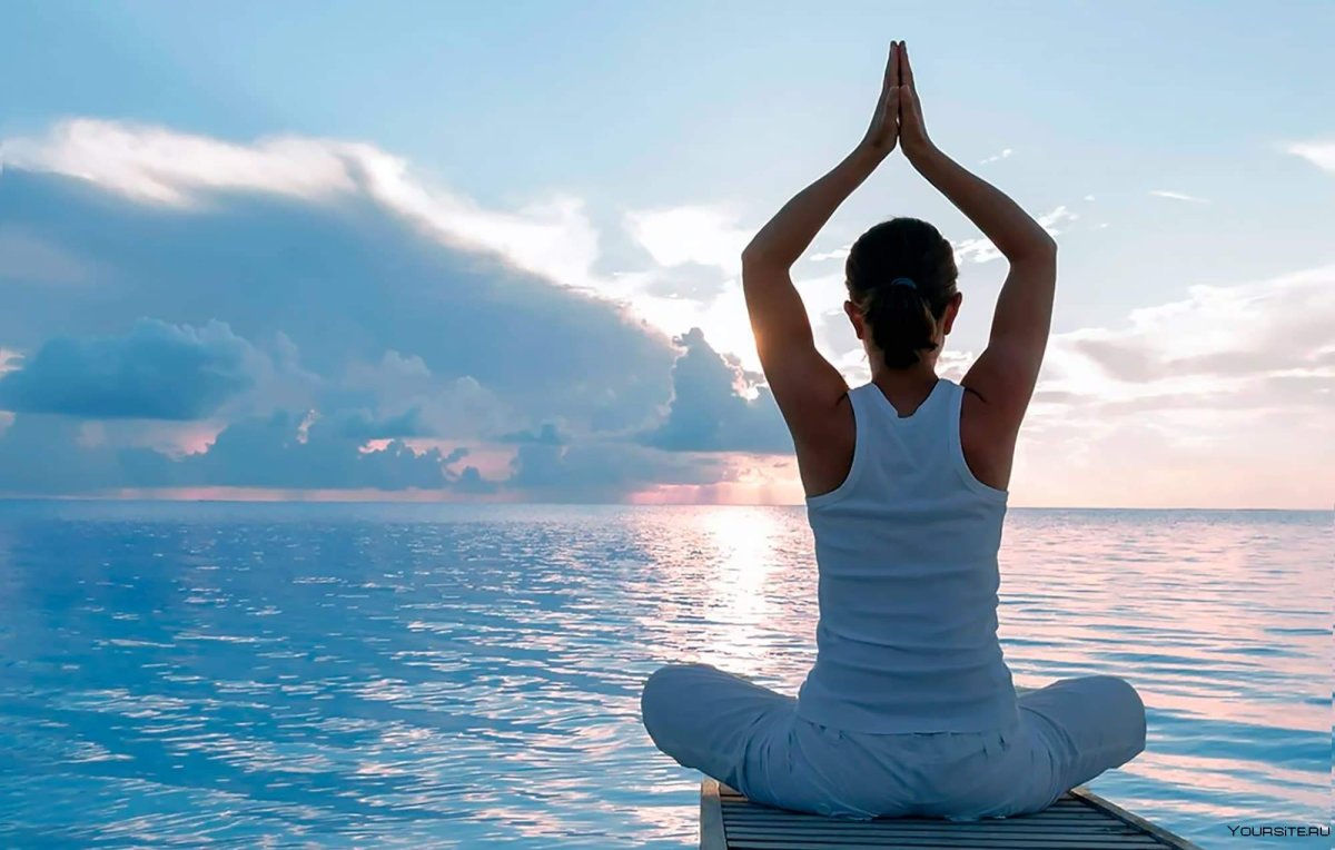 Елена Сибатова Петрозаводск