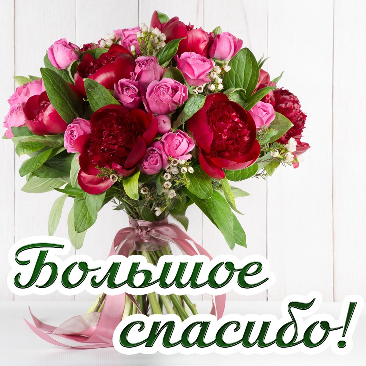 Красотка открытка