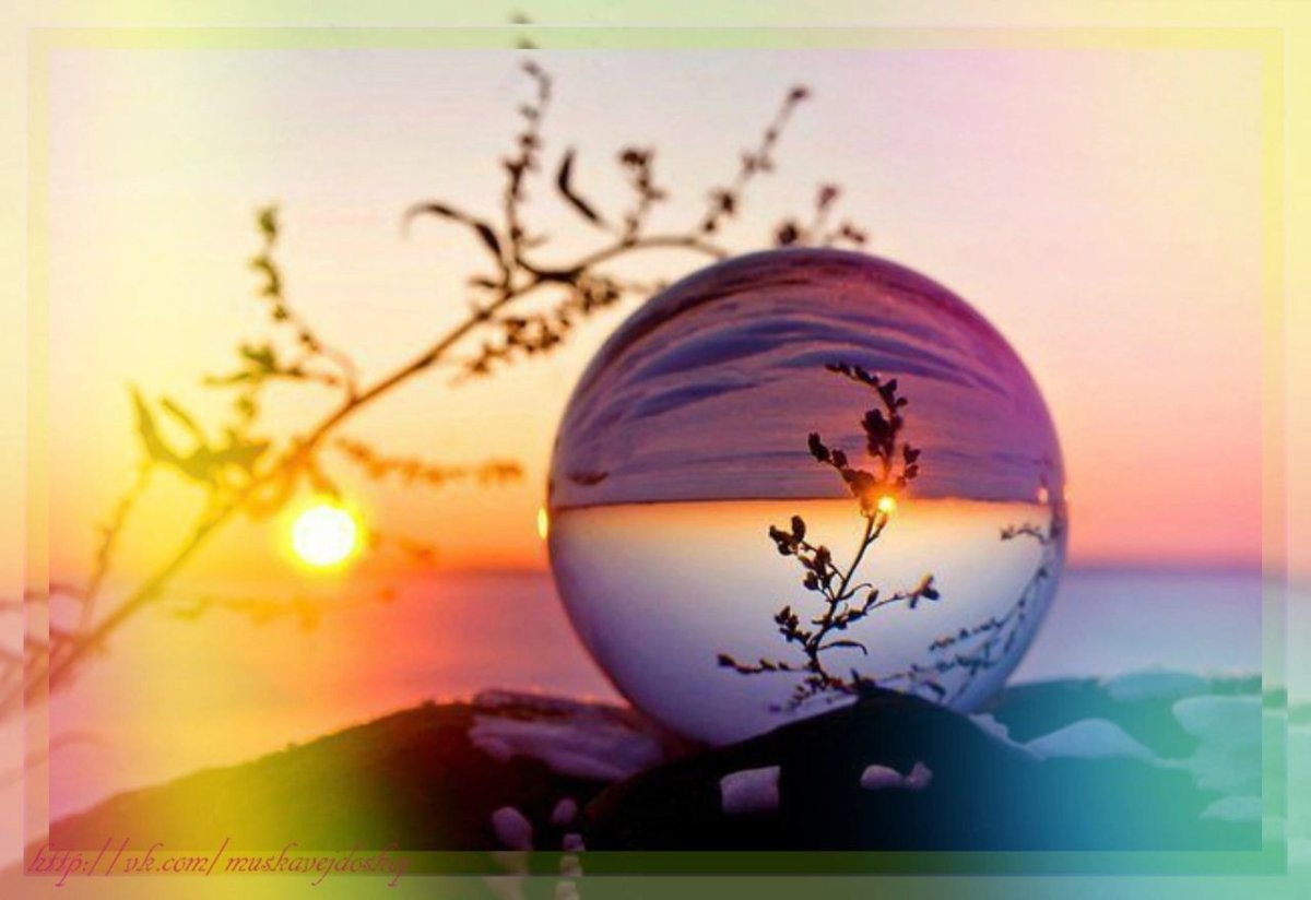 Гармония жизни