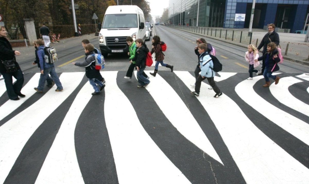 Зебра для детей