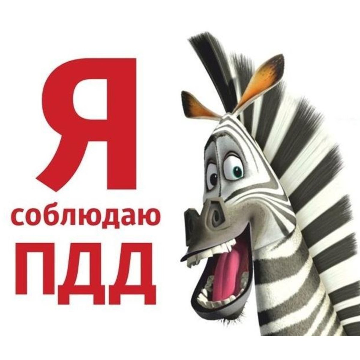 Эмблема Зебра