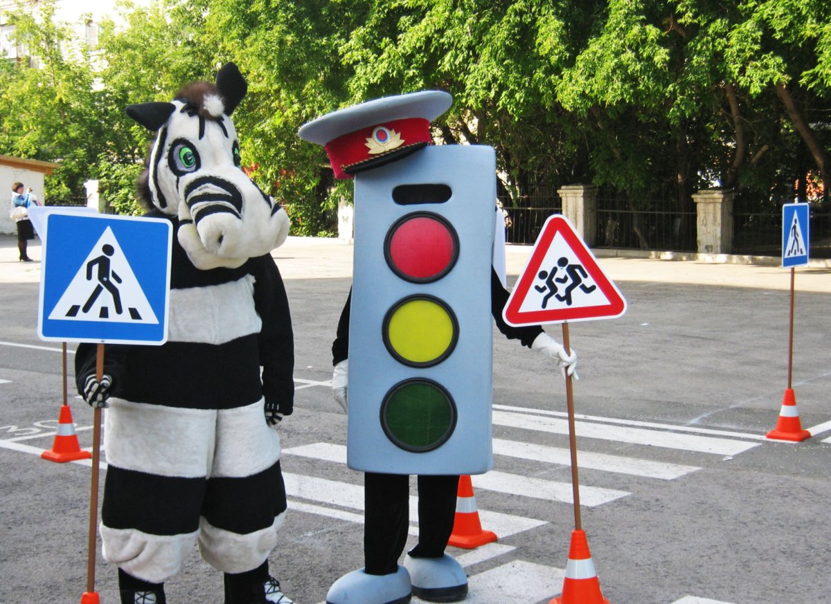 Светофор и Зебра