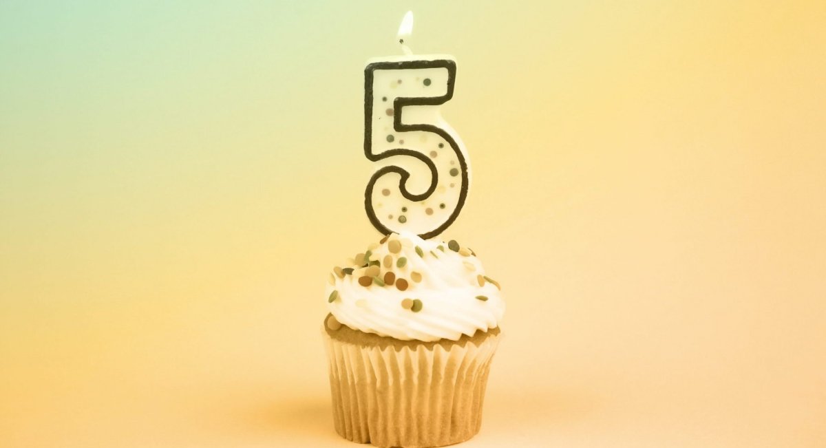 2 Года компании