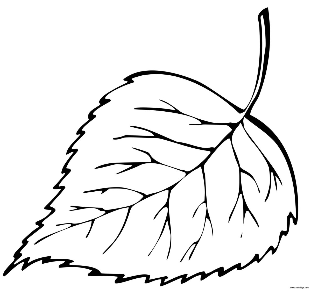 Листья раскраска