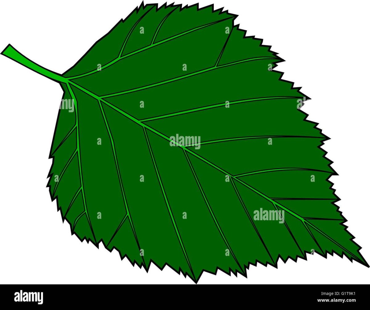 Листики березовые цветные