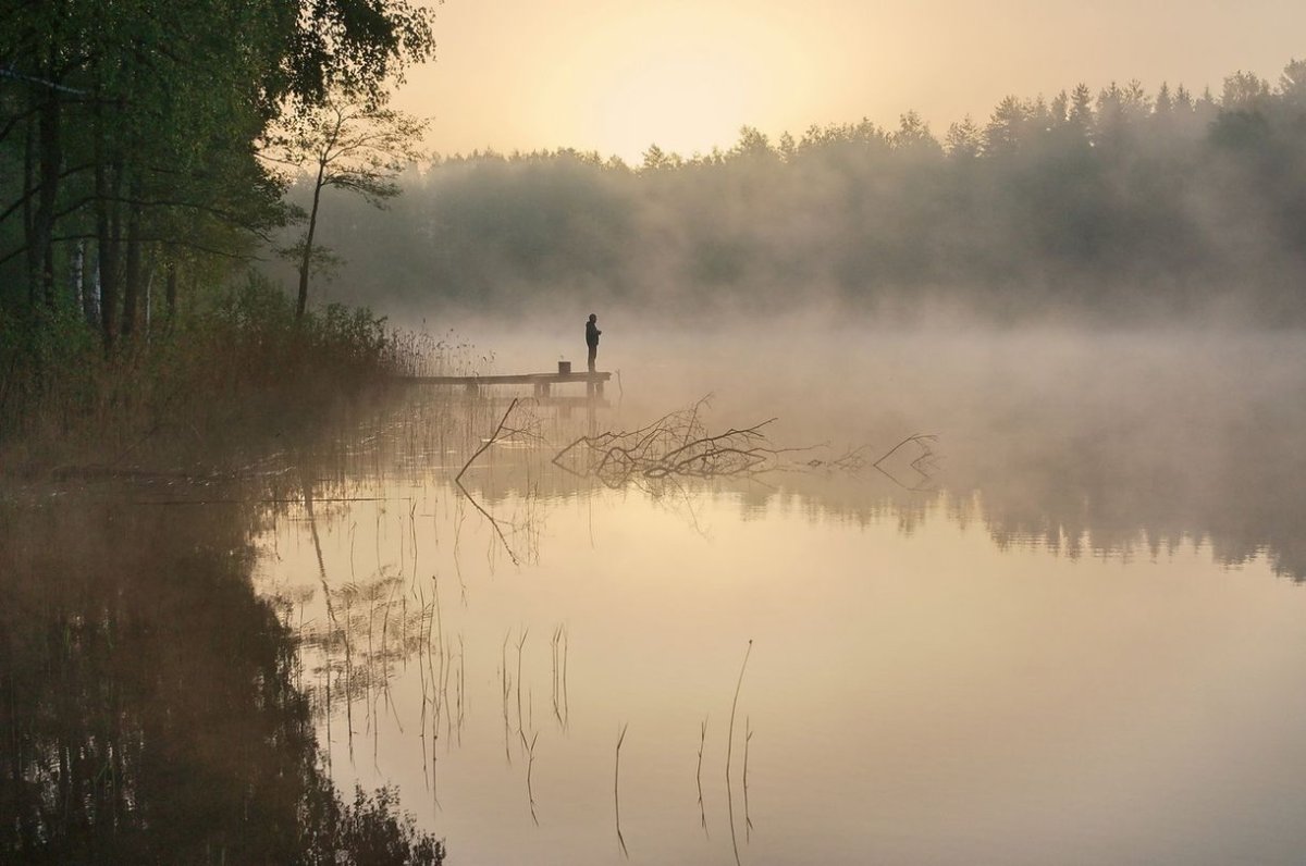 Тишина фотографии