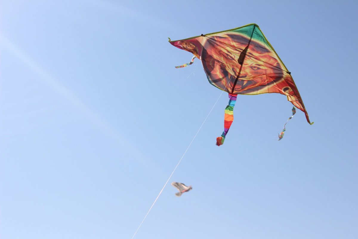 День воздушного змея