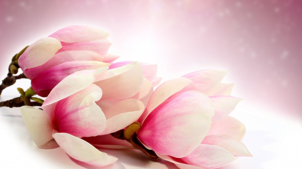 С днём рождения девушке