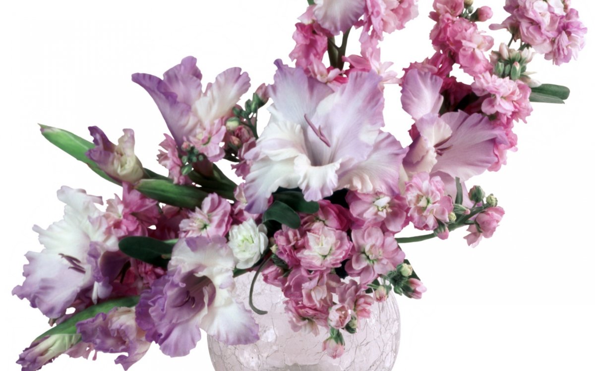 Цветы гладиолусы букет