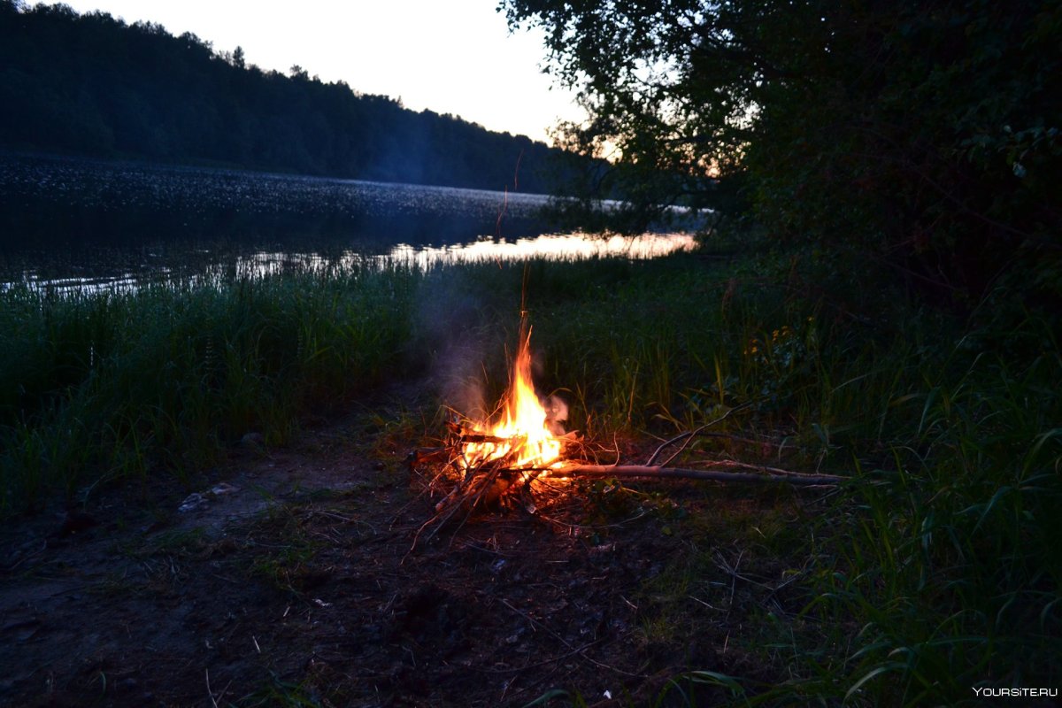 Костер в лесу