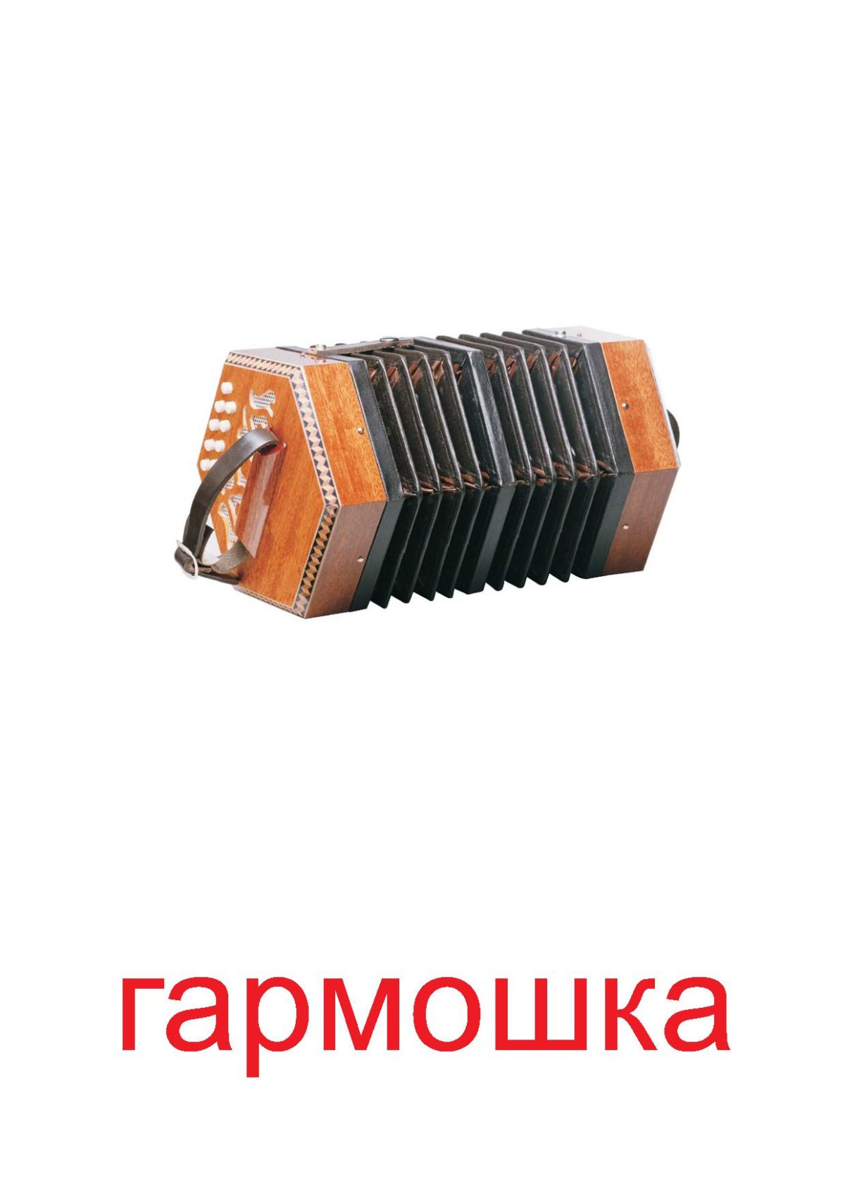 Человек с гармошкой