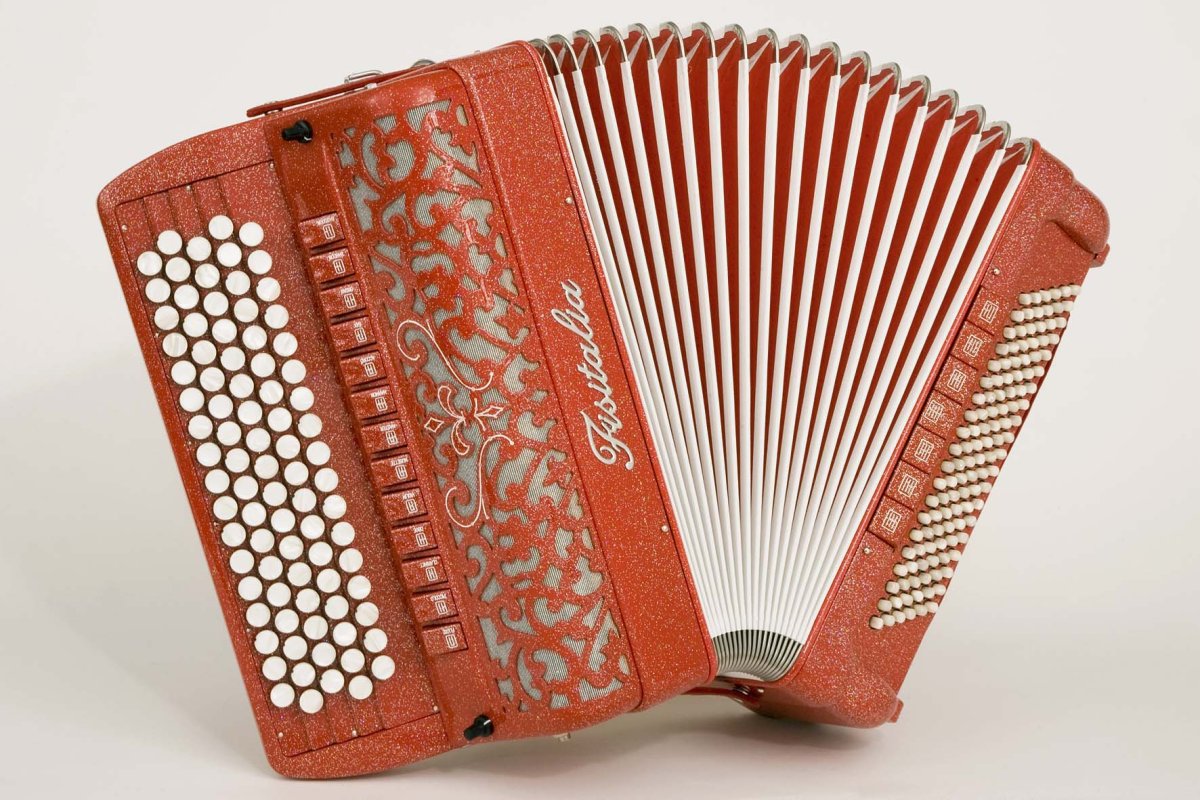 Мальчик с гармошкой вектор