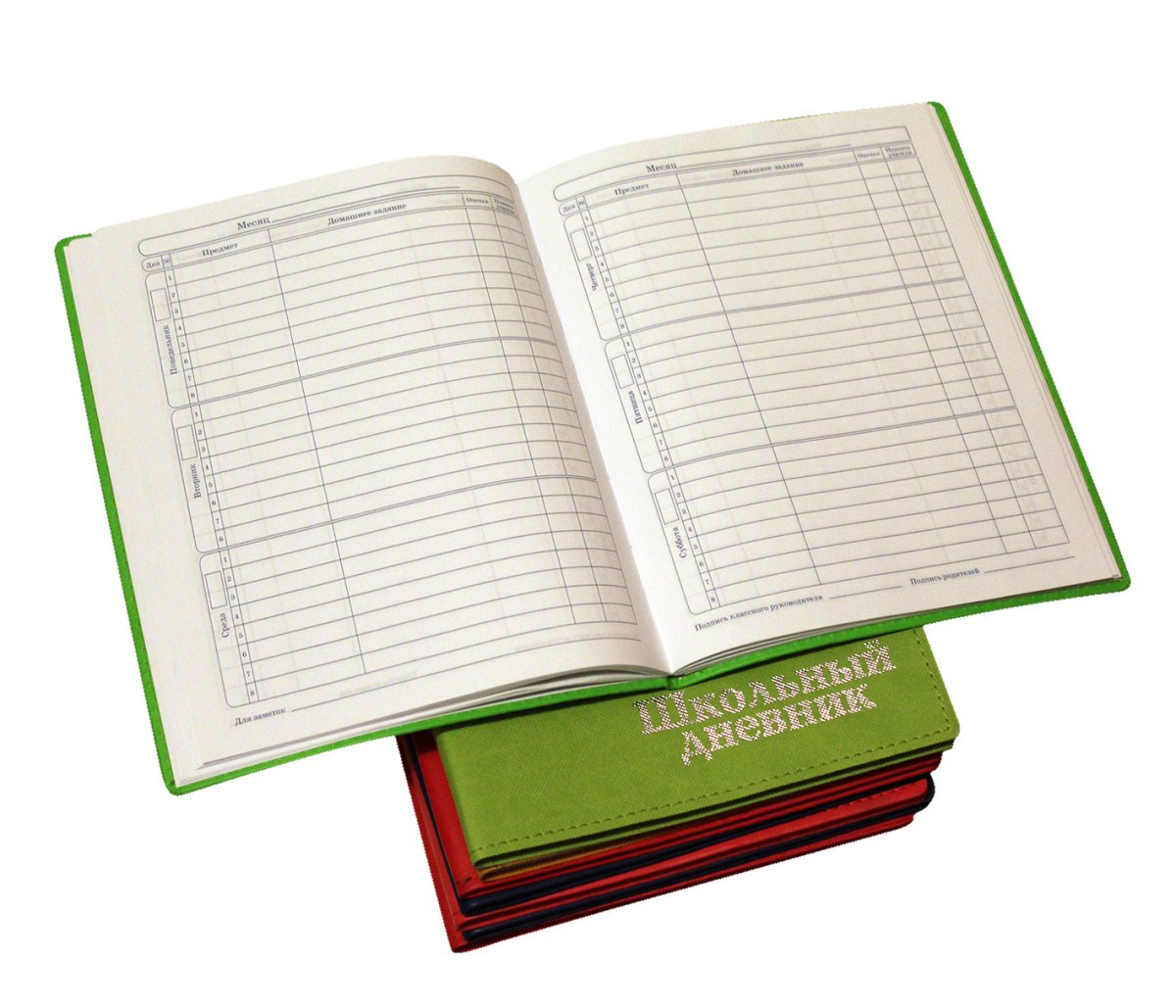 Дневник для школьников