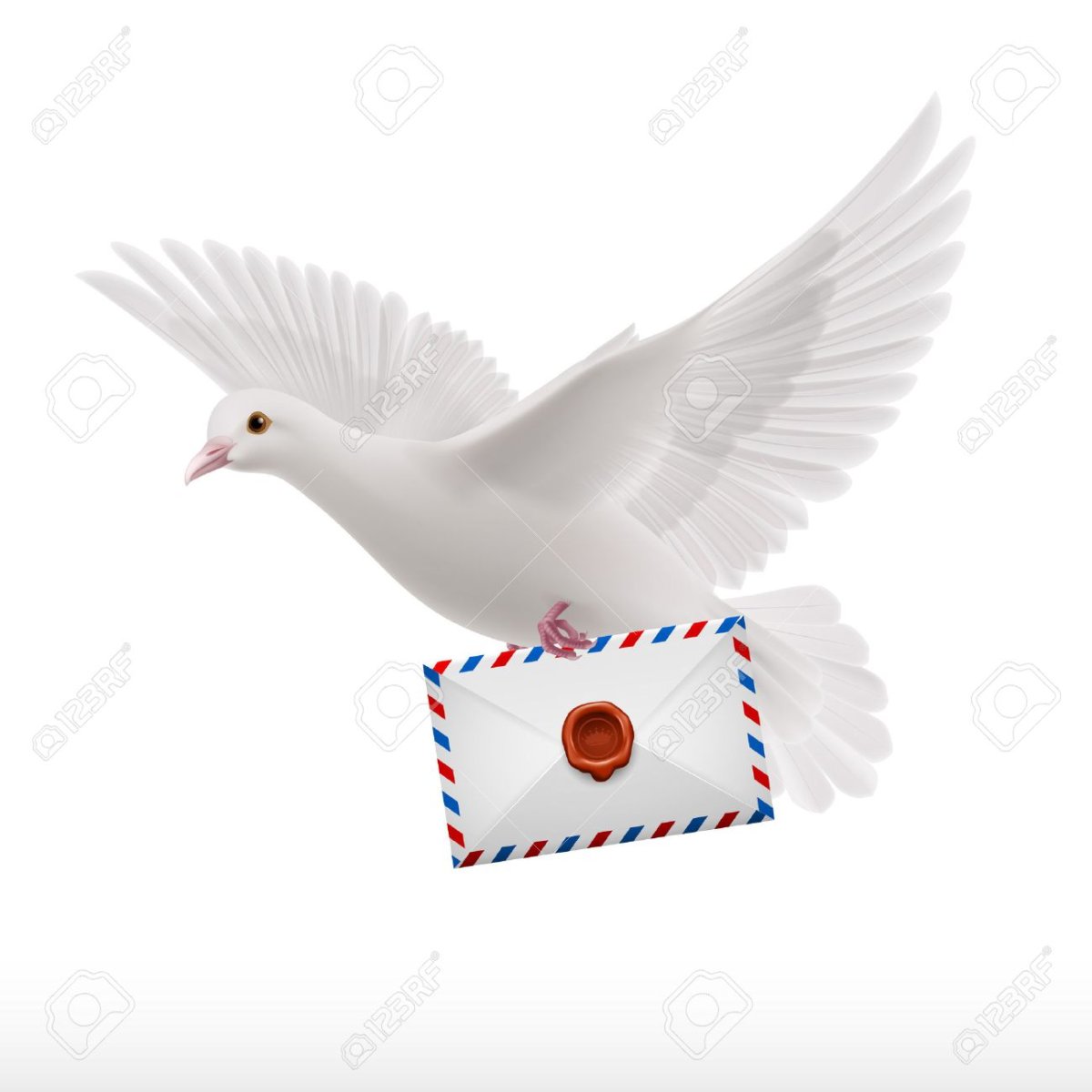 Голубь с письмом в клюве
