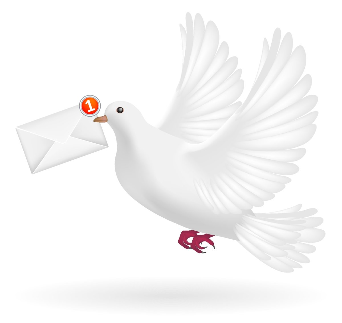 Голубь с письмом