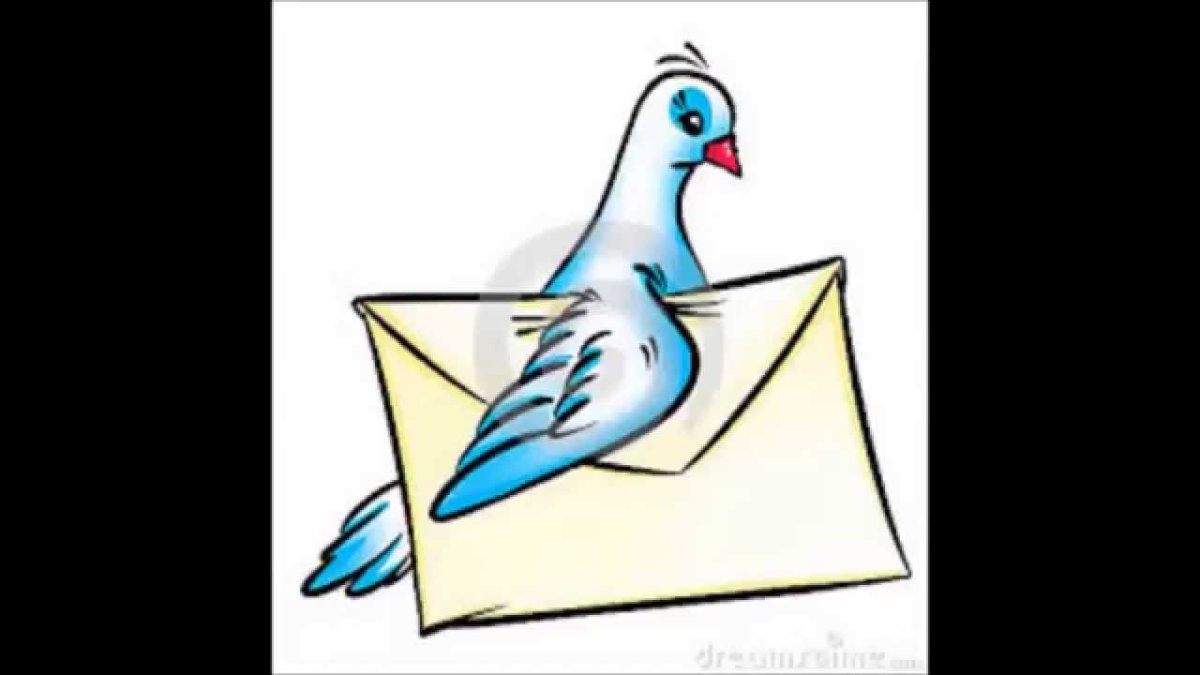 Почтовый голубь мультяшный