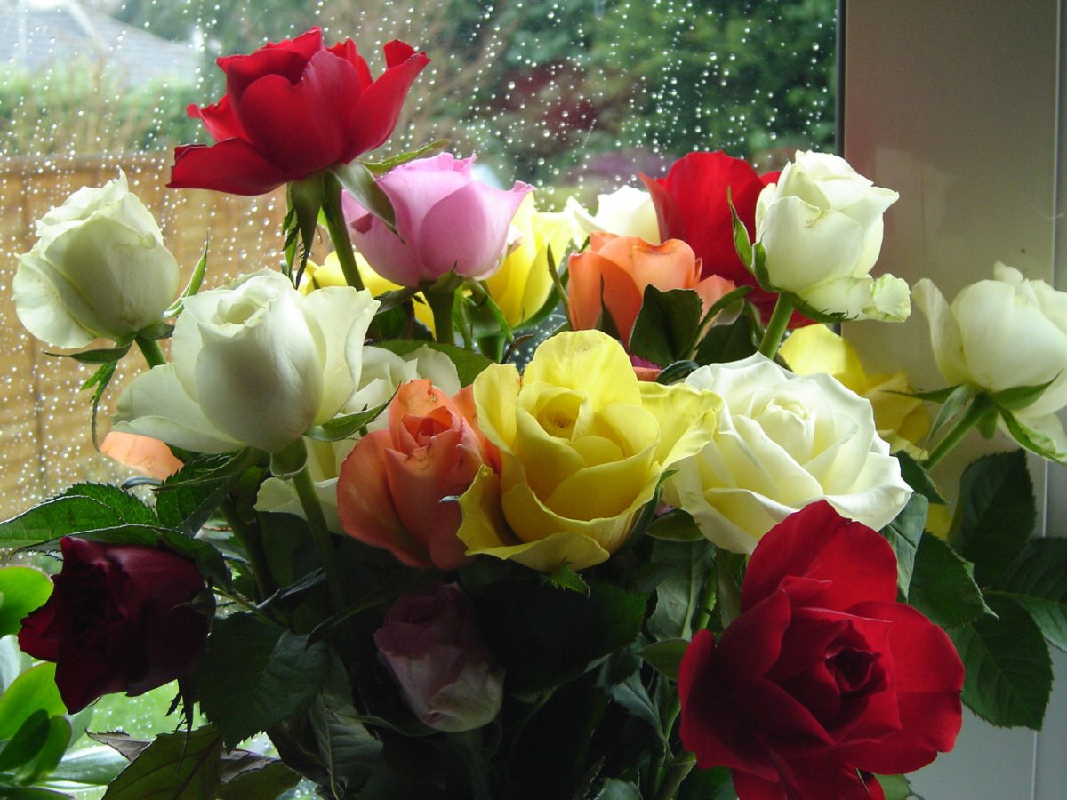 С днем рождения