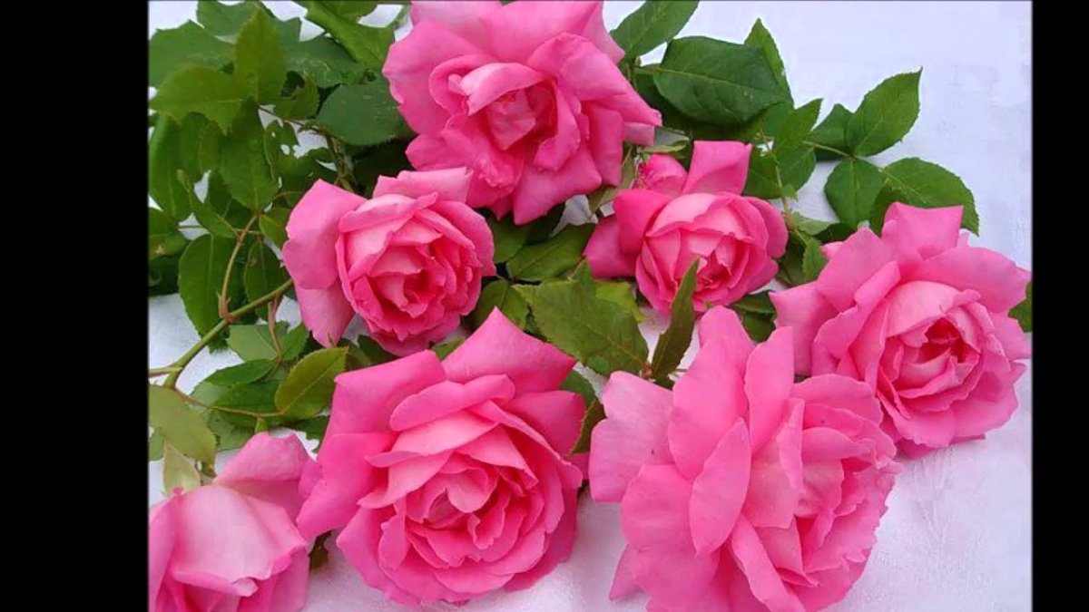 Открытка с днём рождения