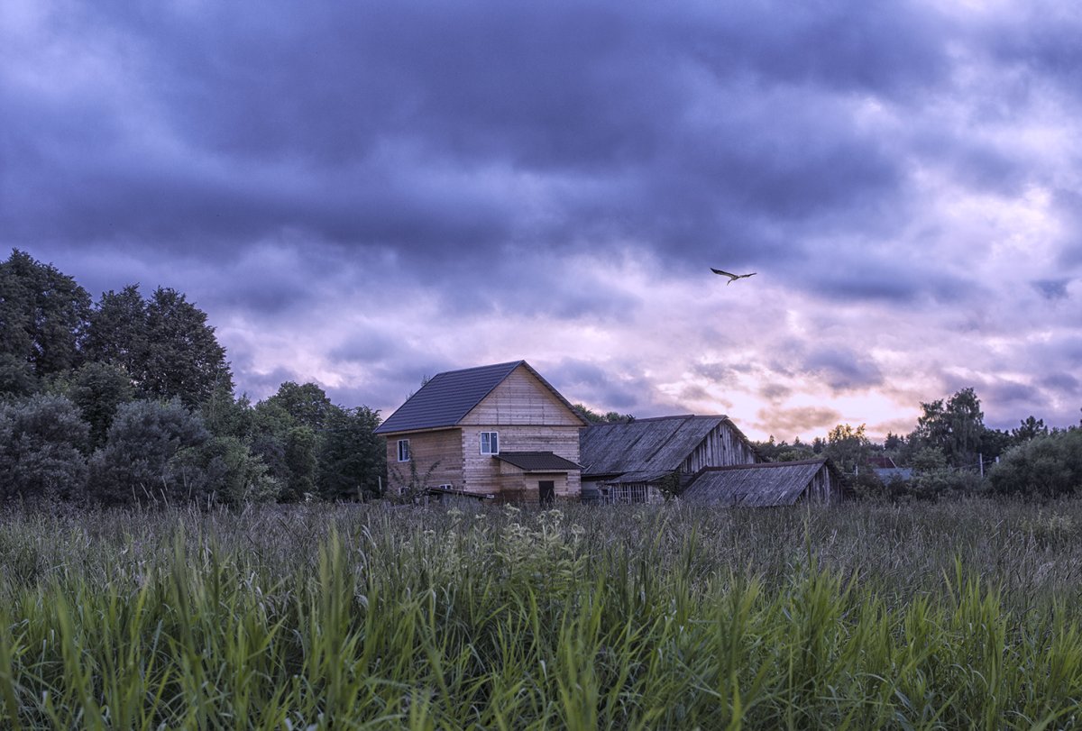 Возвращение домой фото