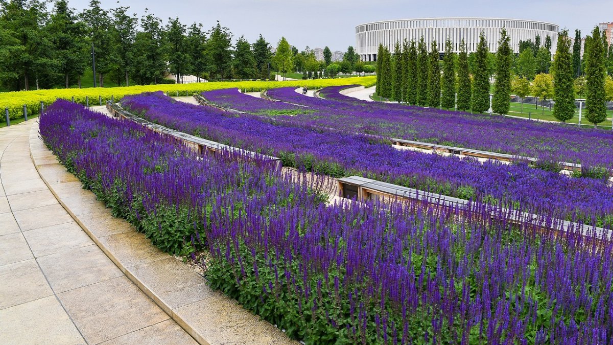 Парк Галицкого Краснодар Краснодар