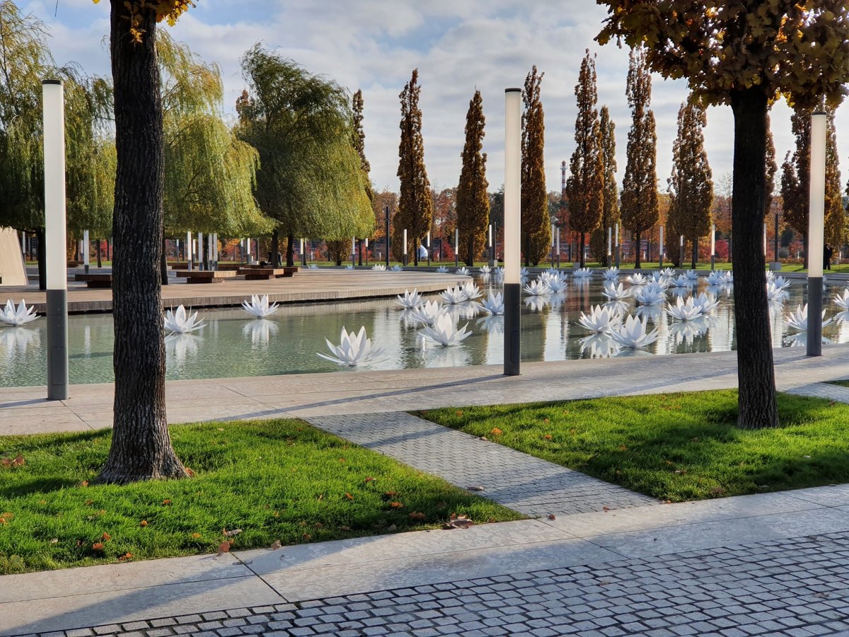 Парк Краснодар Краснодар Лаванда