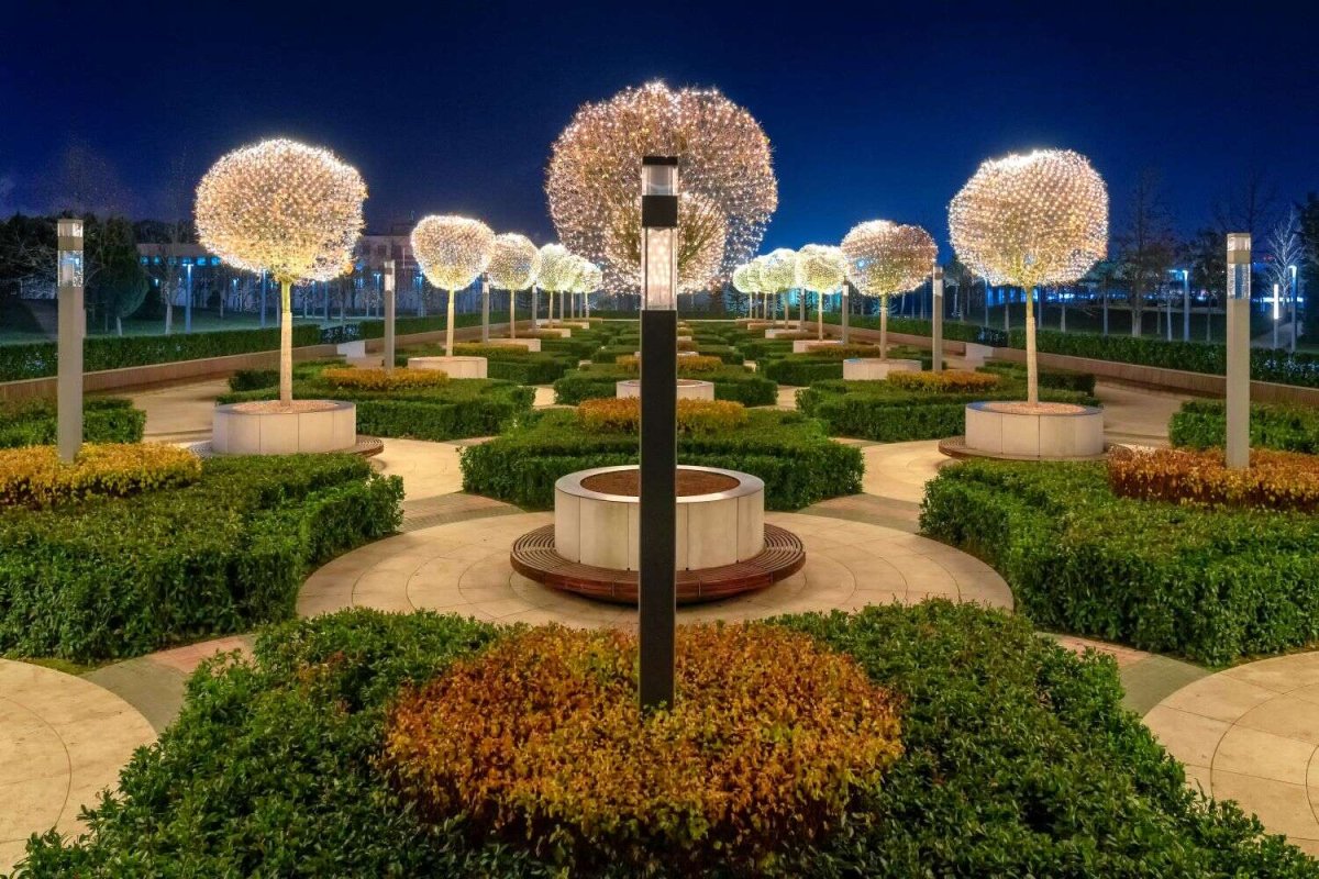 Парк Галицкого в Краснодаре деревья