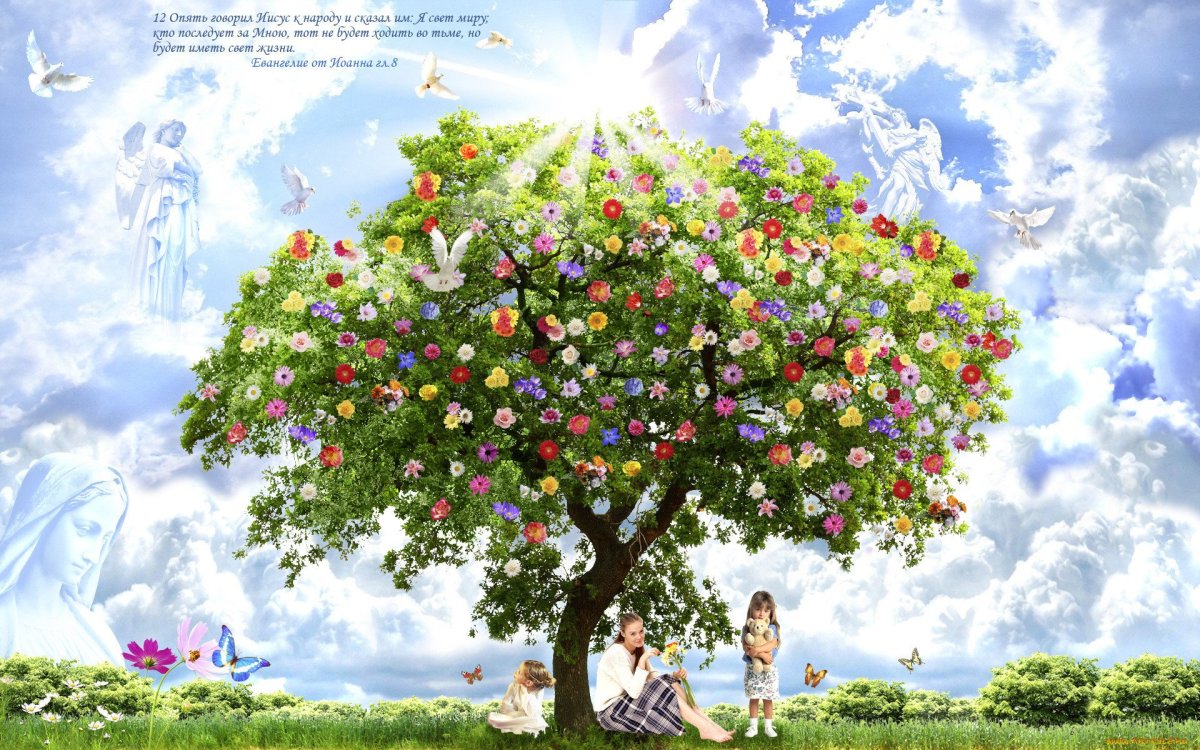 Деревья весной