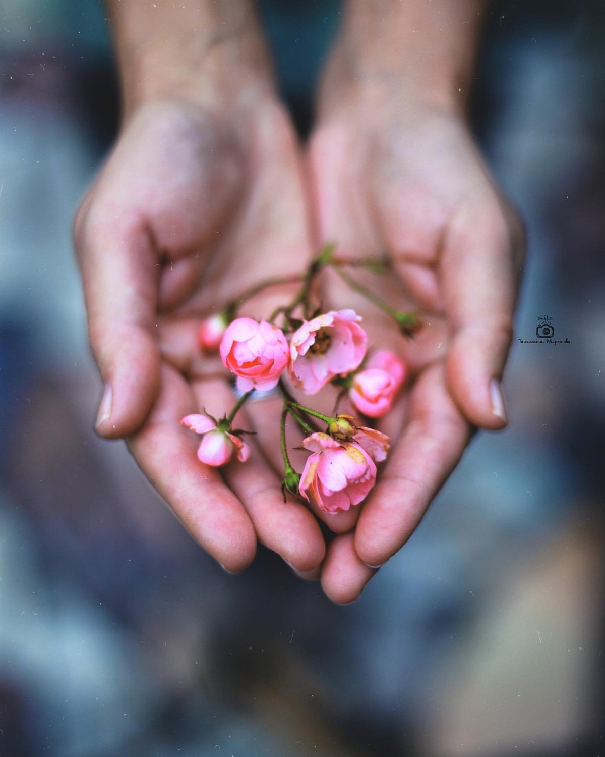 Простота и красота