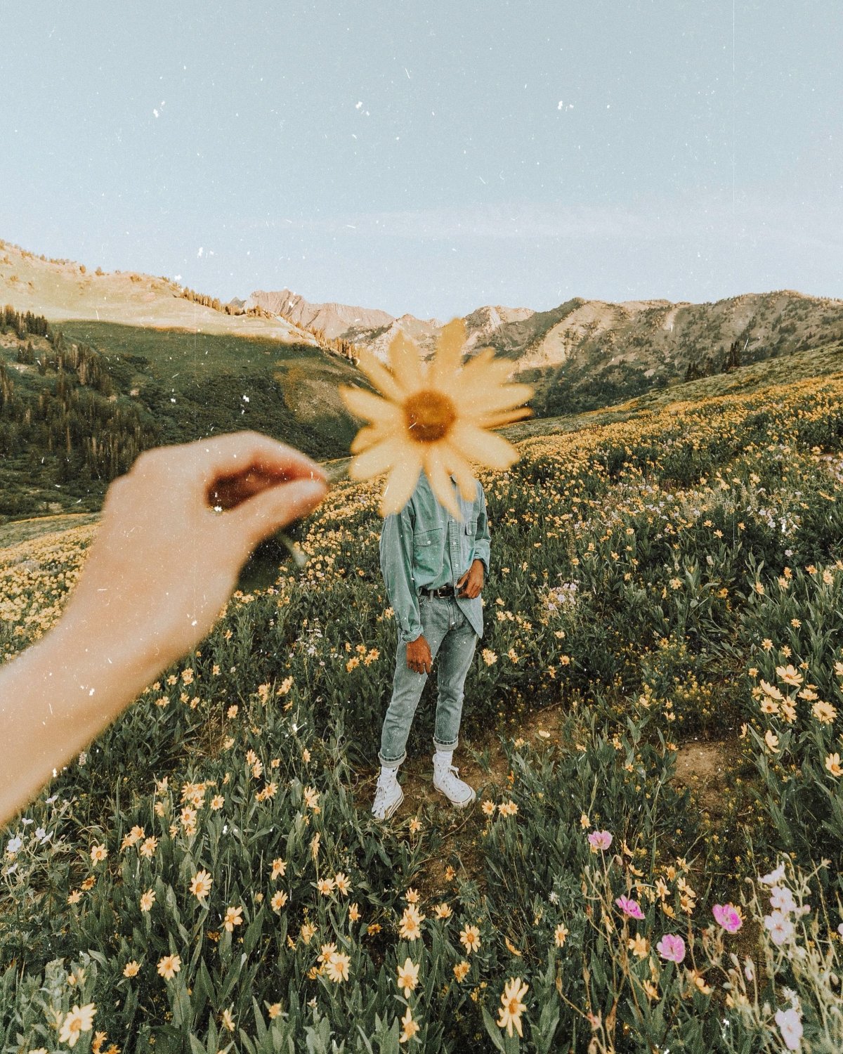 Лето Эстетика