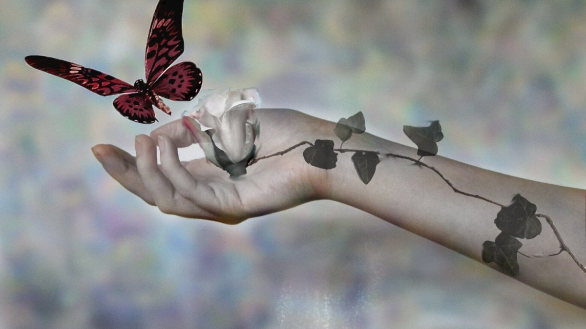 Бабочка привязанная