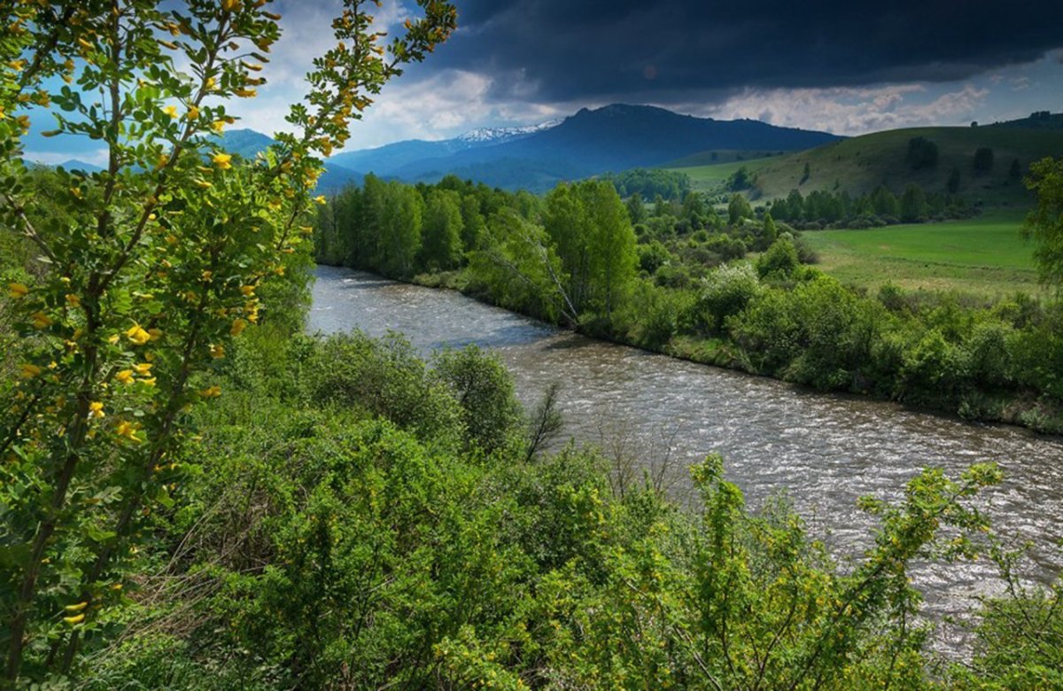 Река Ануй Солонешенский район