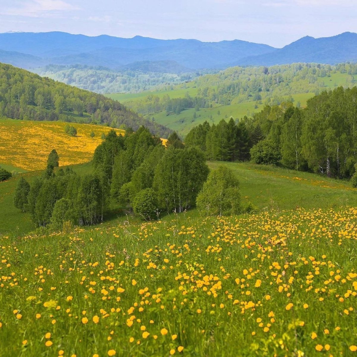 Алтайский край летом