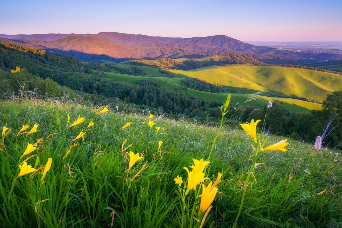 Пейзажи Алтай Белокуриха