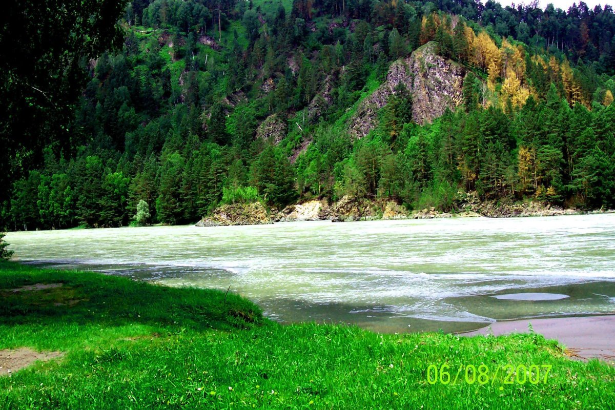 Природа Барнаула и Алтайского края