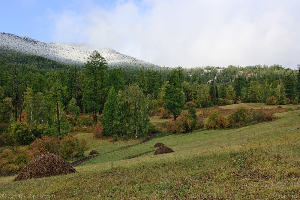 Алтайский край подножие горы Белухи