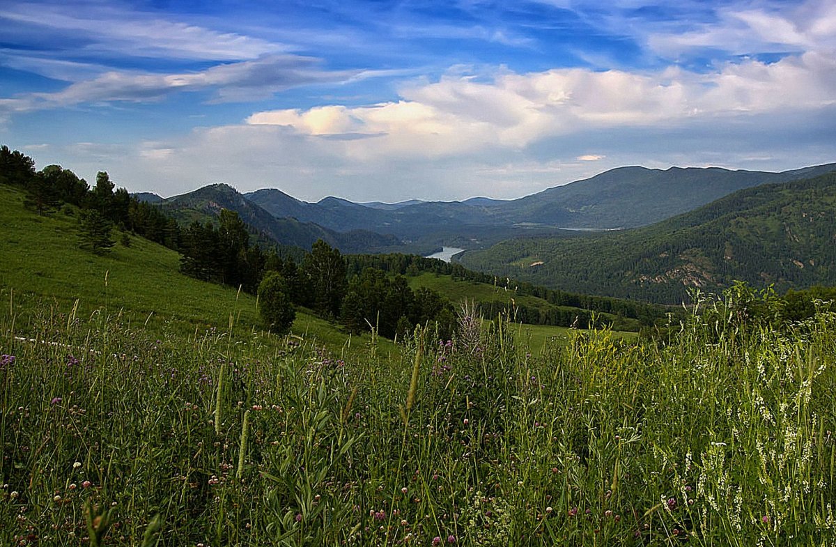 Барнаул горы Алтая