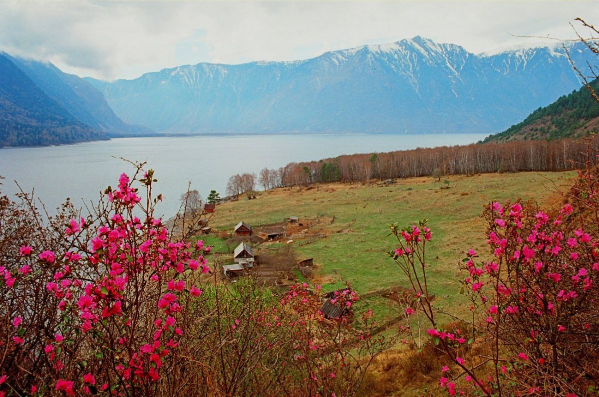 Тигирекский заповедник Алтайского края