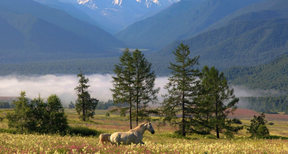 Гора Церковка в Белокурихе