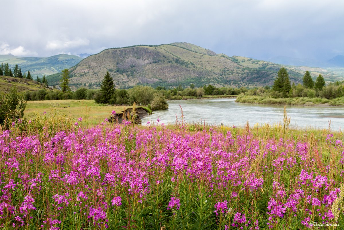 Сибирь Урал Алтай