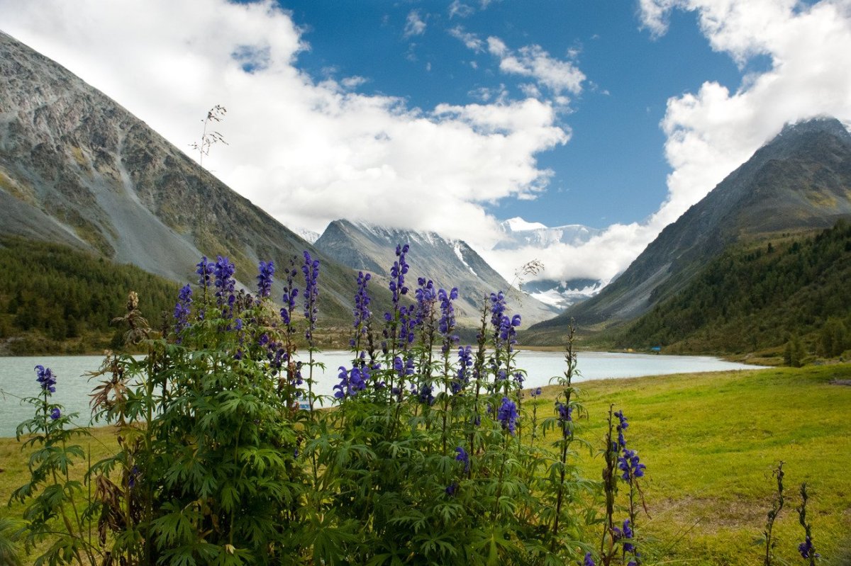 Озеро Подгорное Республика Алтай