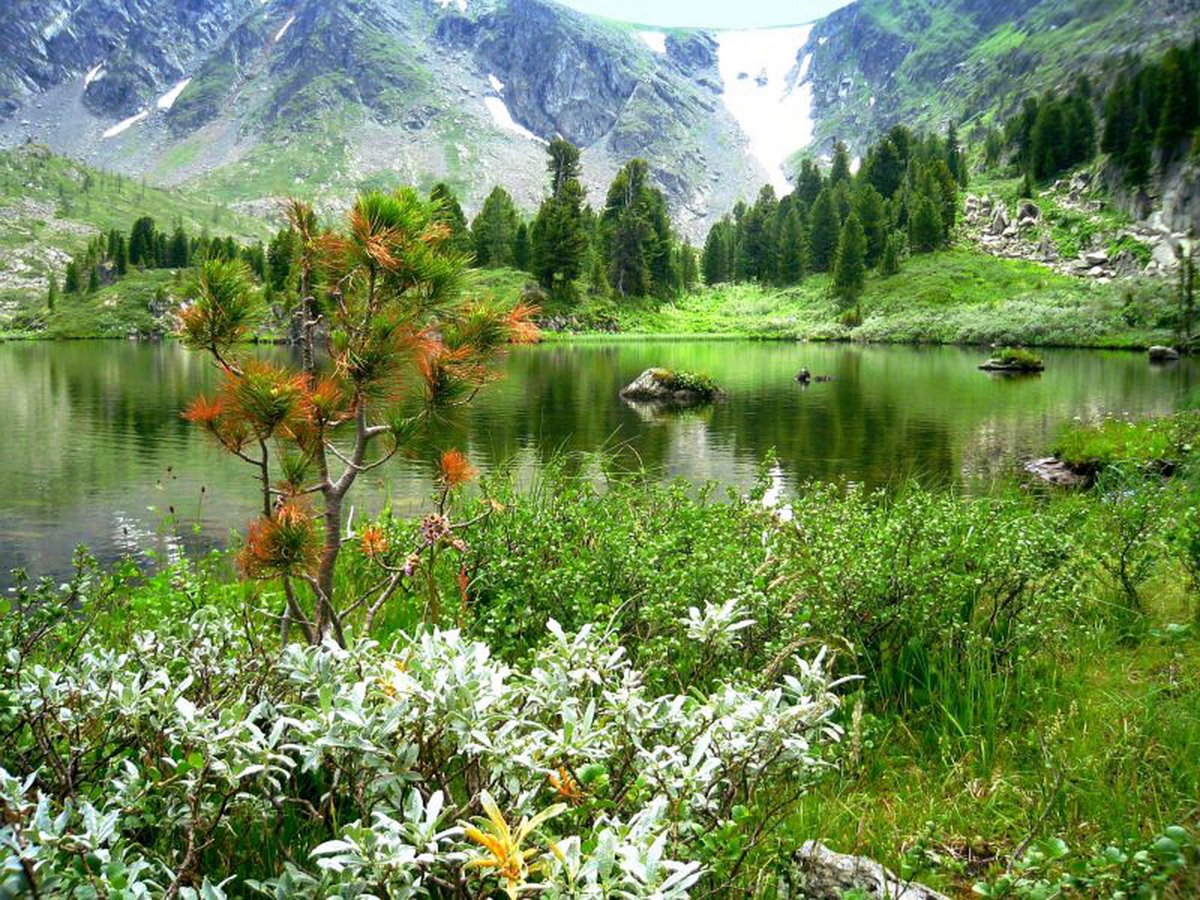 Уймонская Долина Катунь