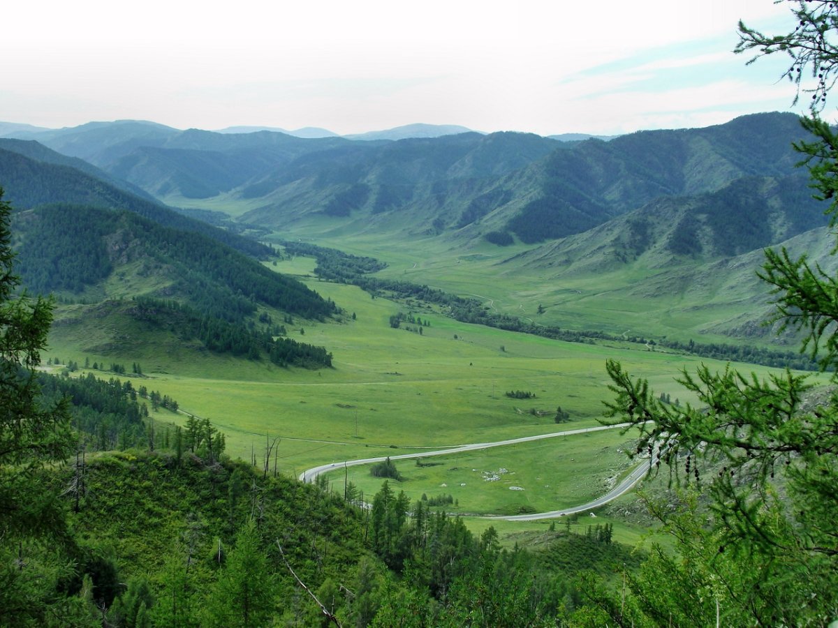 Пейзаж Алтайского края горный Алтай