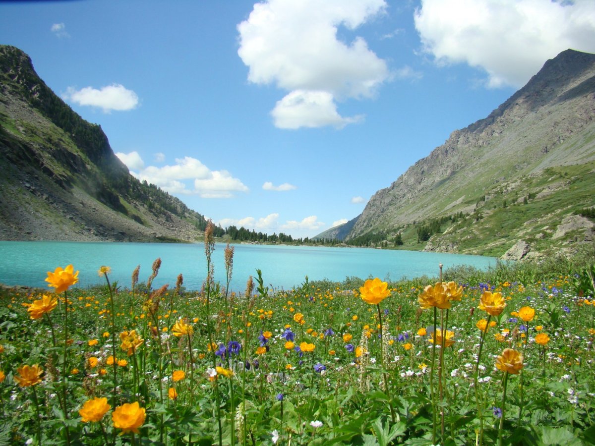 Горный Алтай озеро Шавло