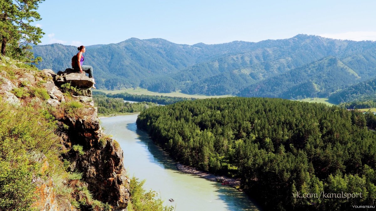 Природа Алтая цветы