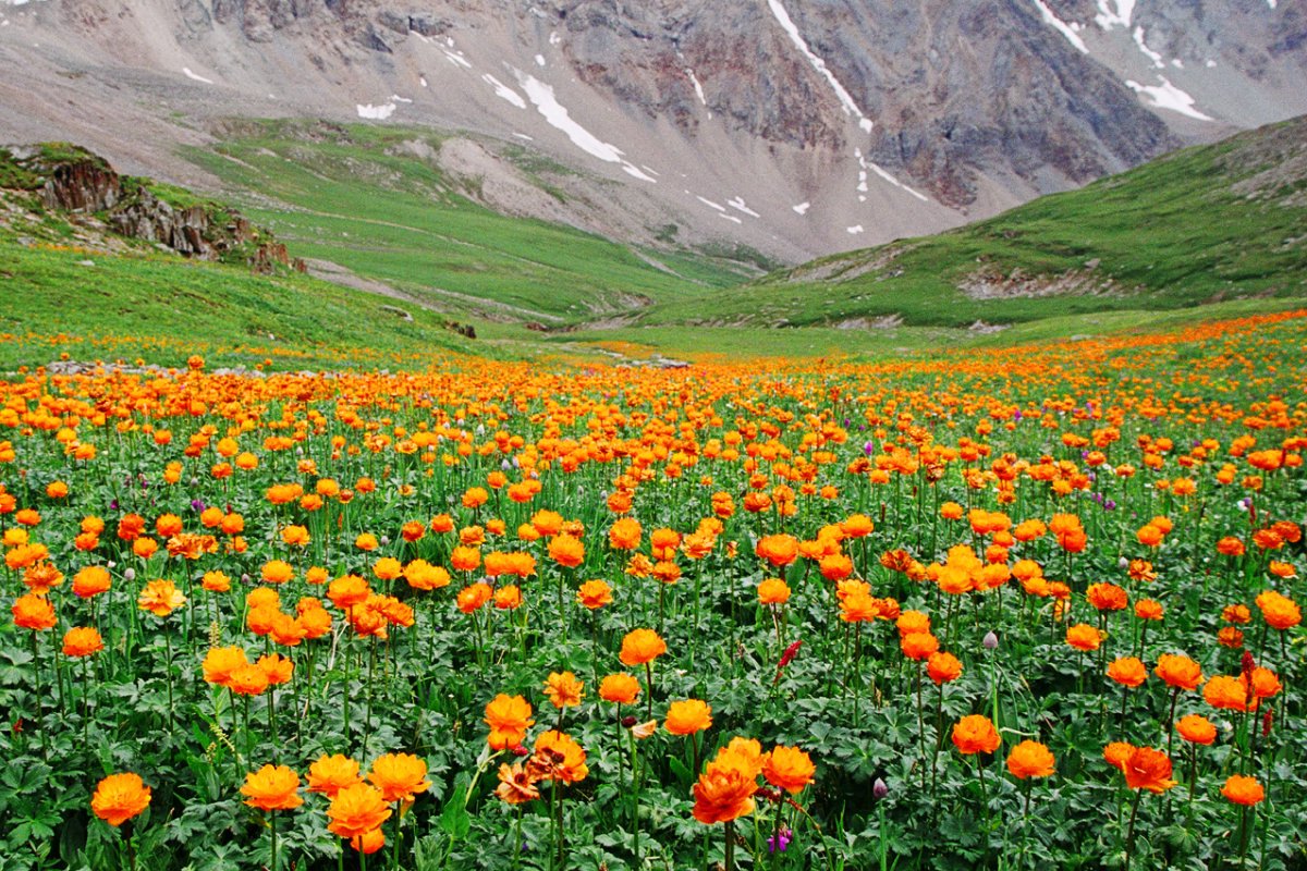 Республика Алтай, озеро среднее Мультинское, сентябрь 2011.