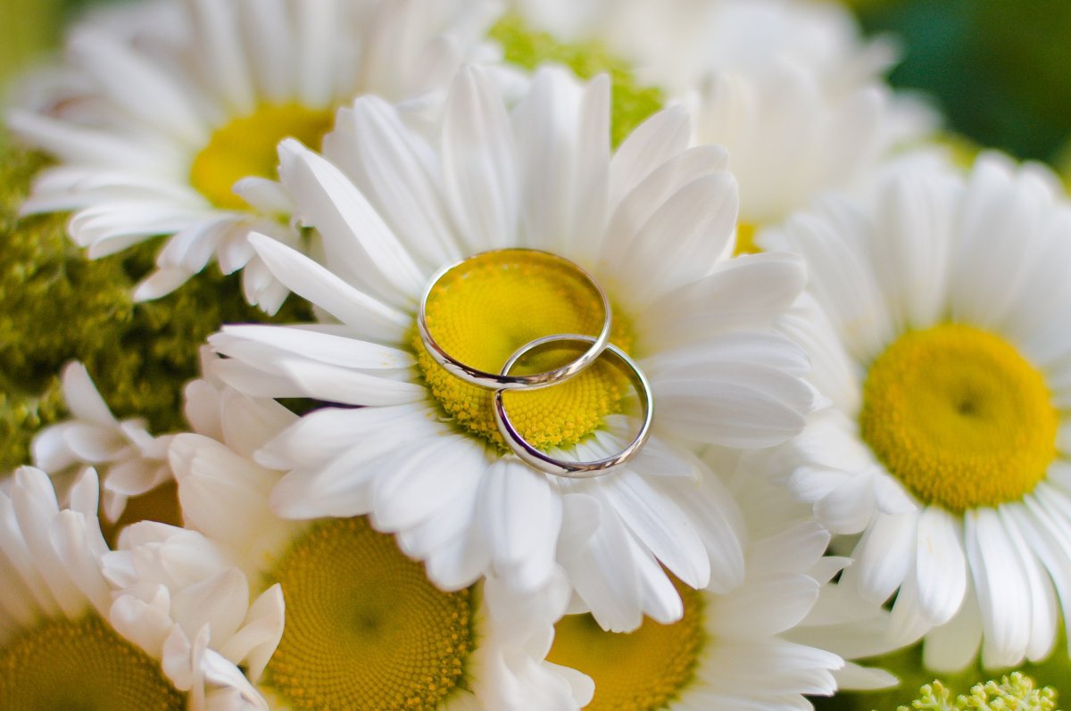 Ромашковая годовщина свадьбы