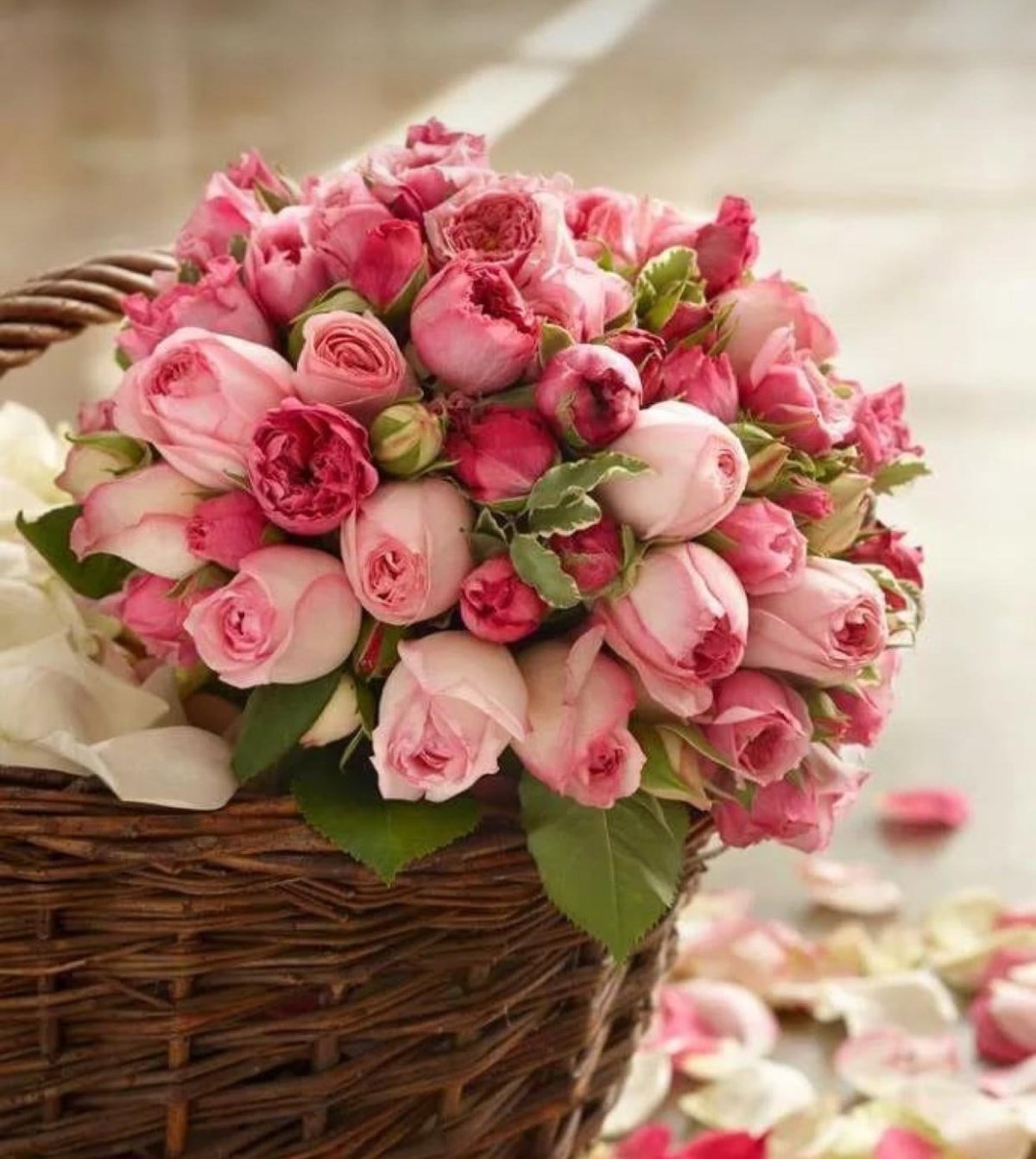 Поздравления с днём рождения